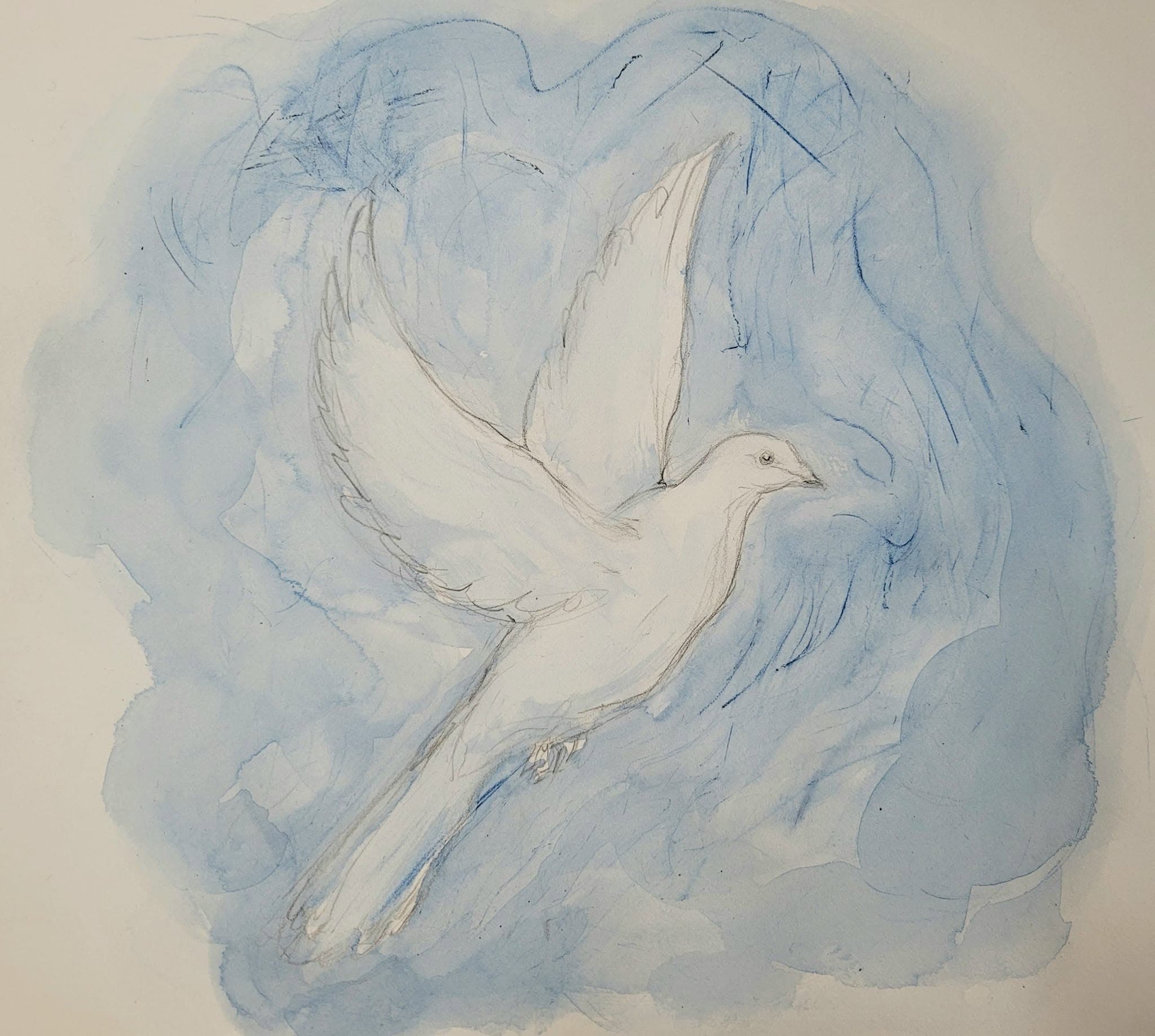 Birds 3