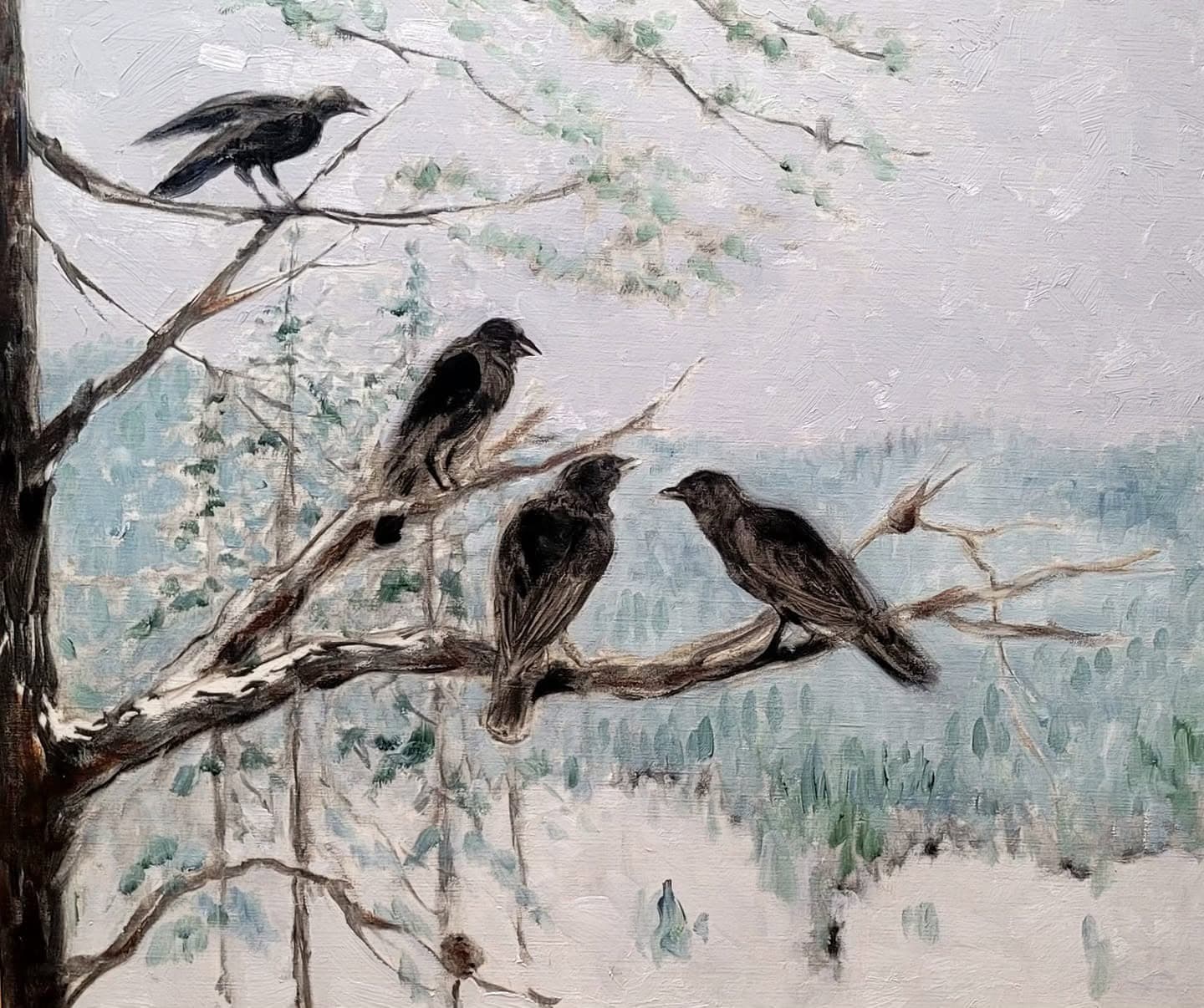 Birds 6