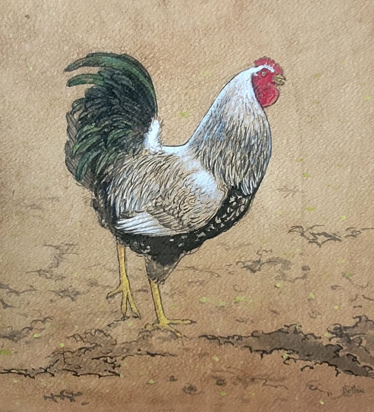 A painting of a chicken