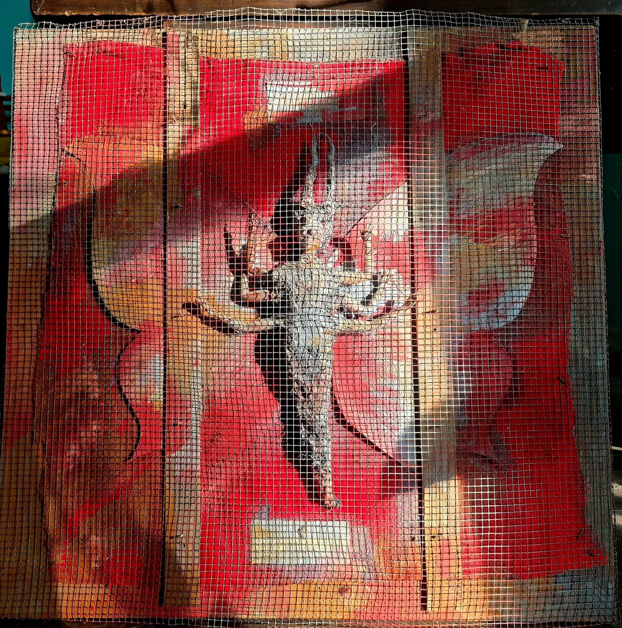 Dragonfly