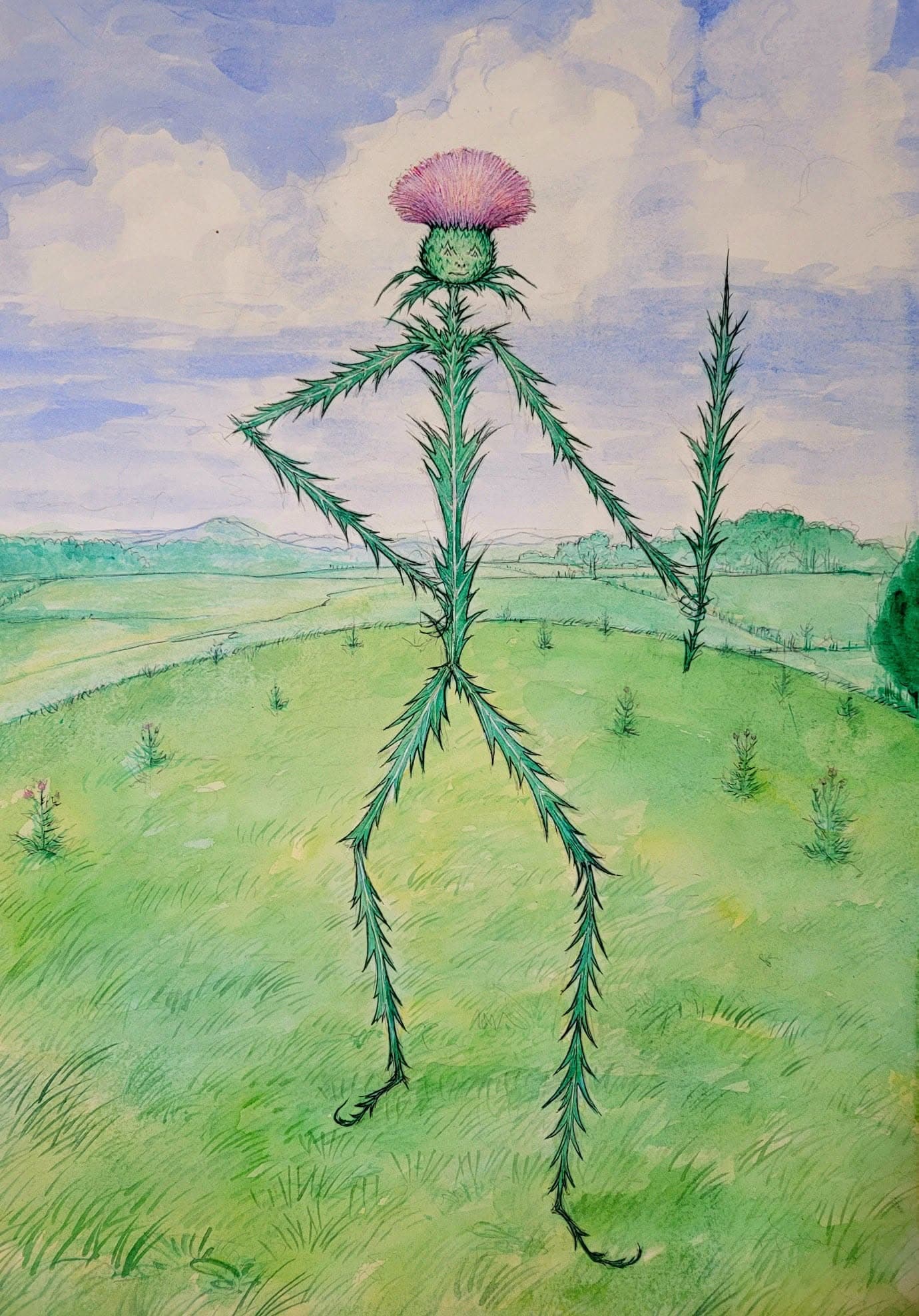 Little Thistle 1