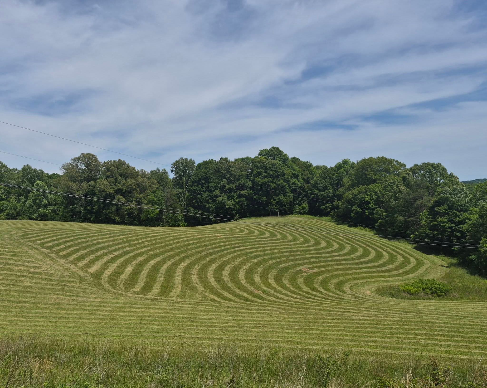 The mowed field