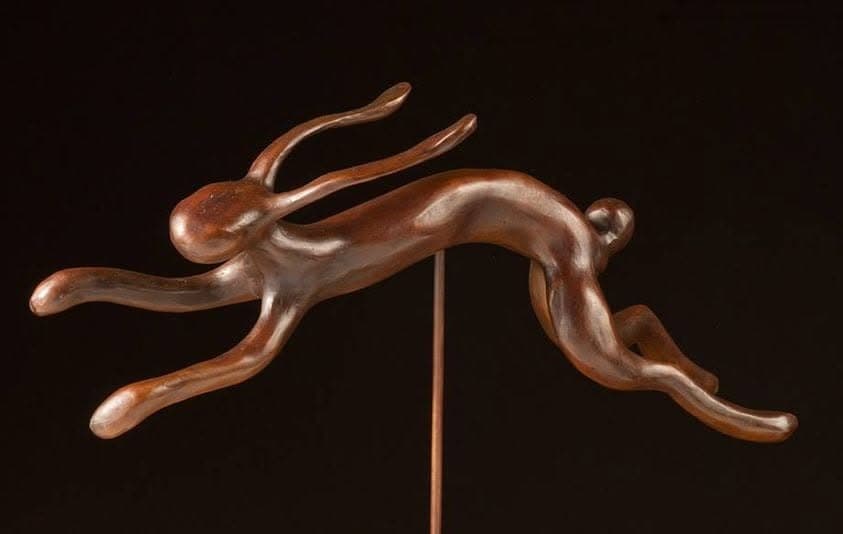 Rabbit 1