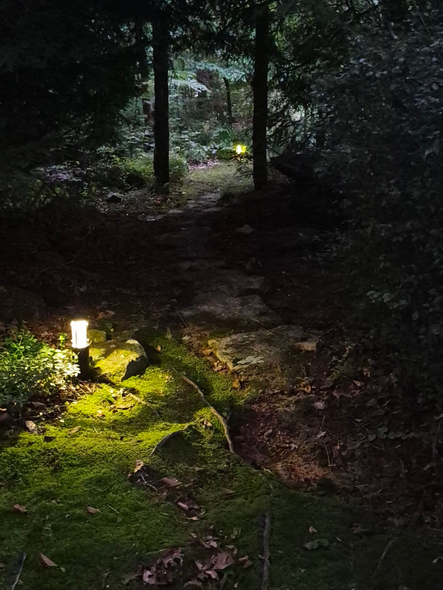 The garden path