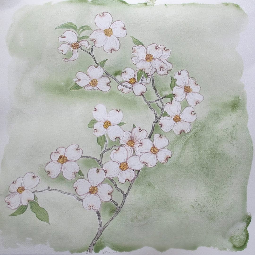 Flower painting by Dan Dutton (1)