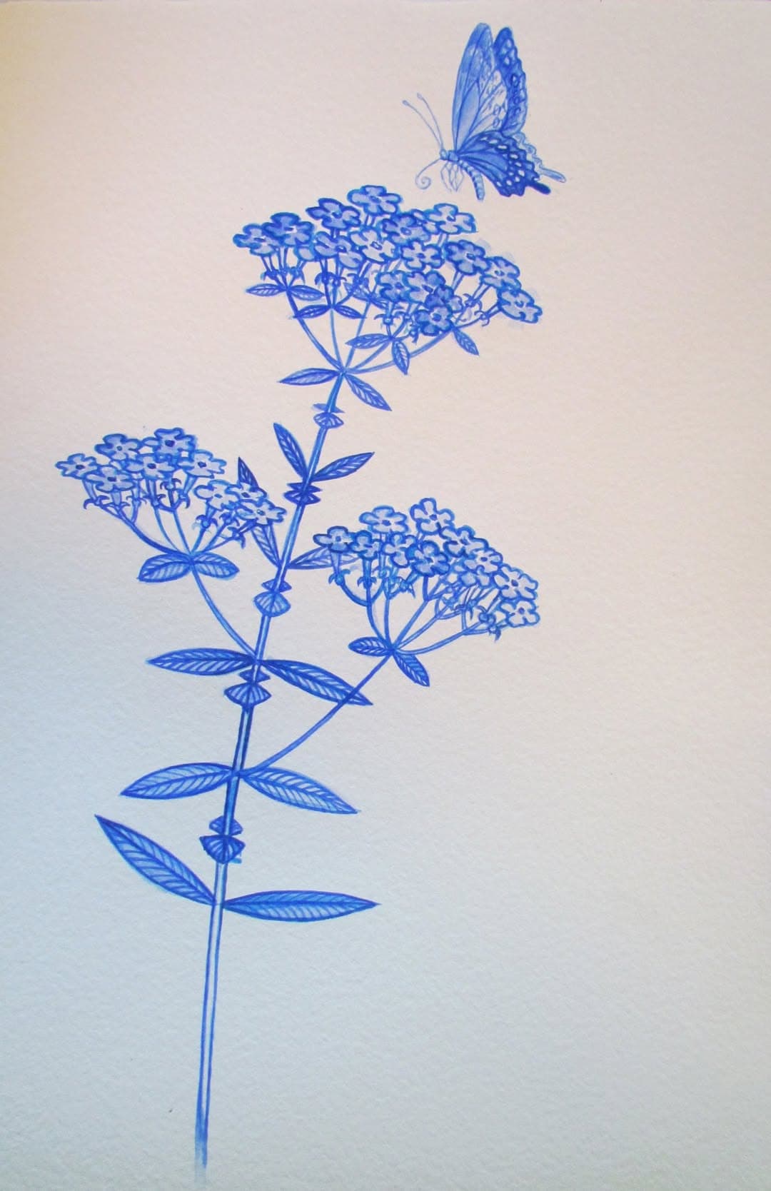 Flower painting by Dan Dutton (16)