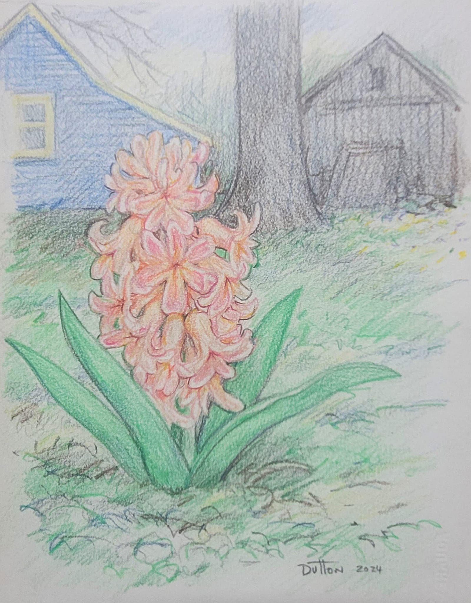 Flower painting by Dan Dutton (19)