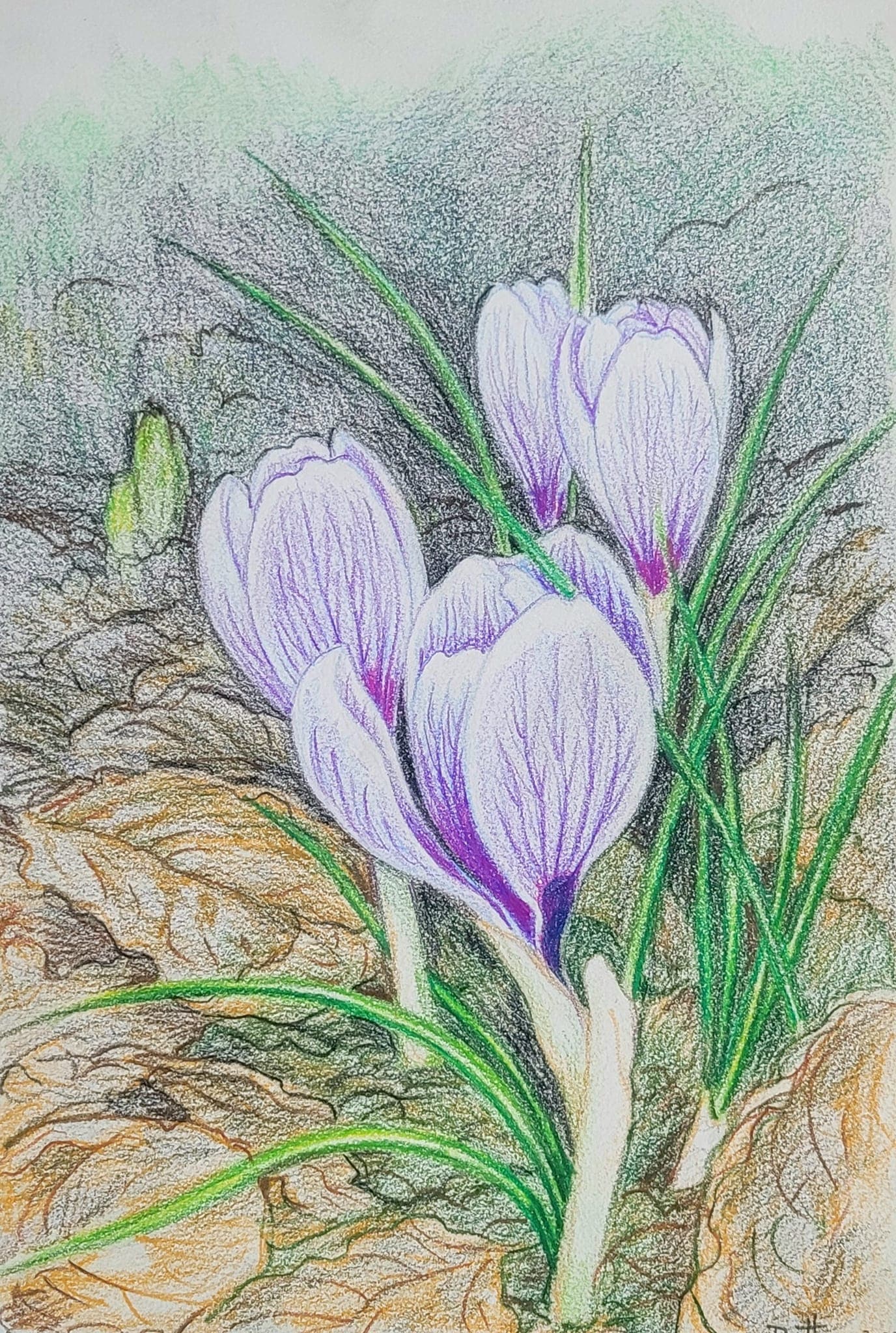 Flower painting by Dan Dutton (25)