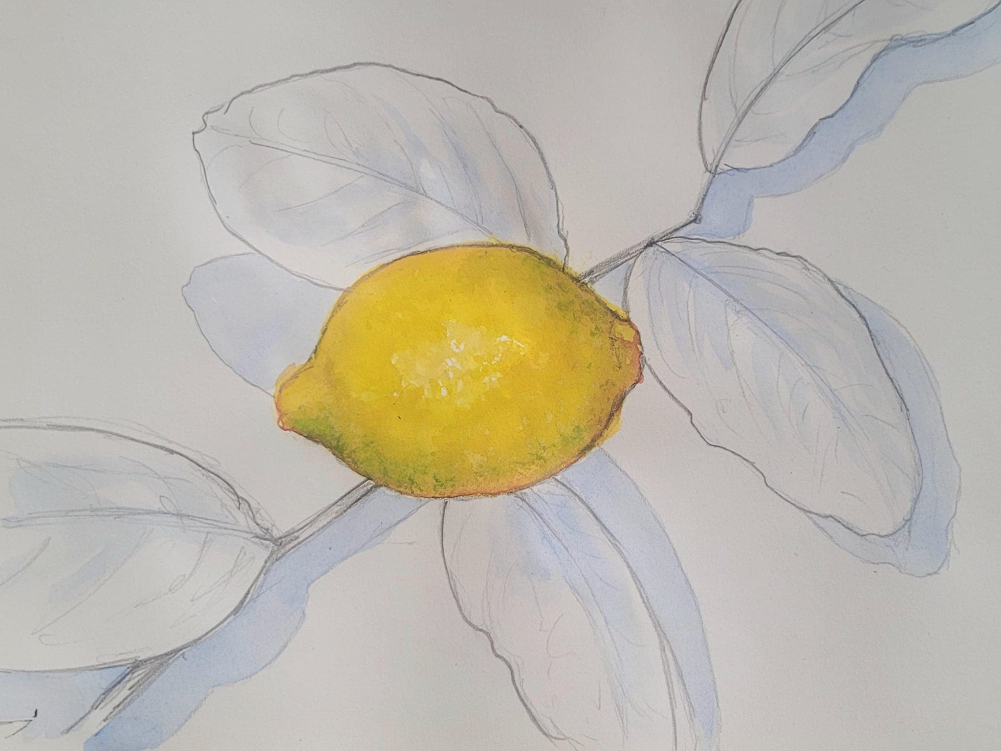 Flower painting by Dan Dutton (26)