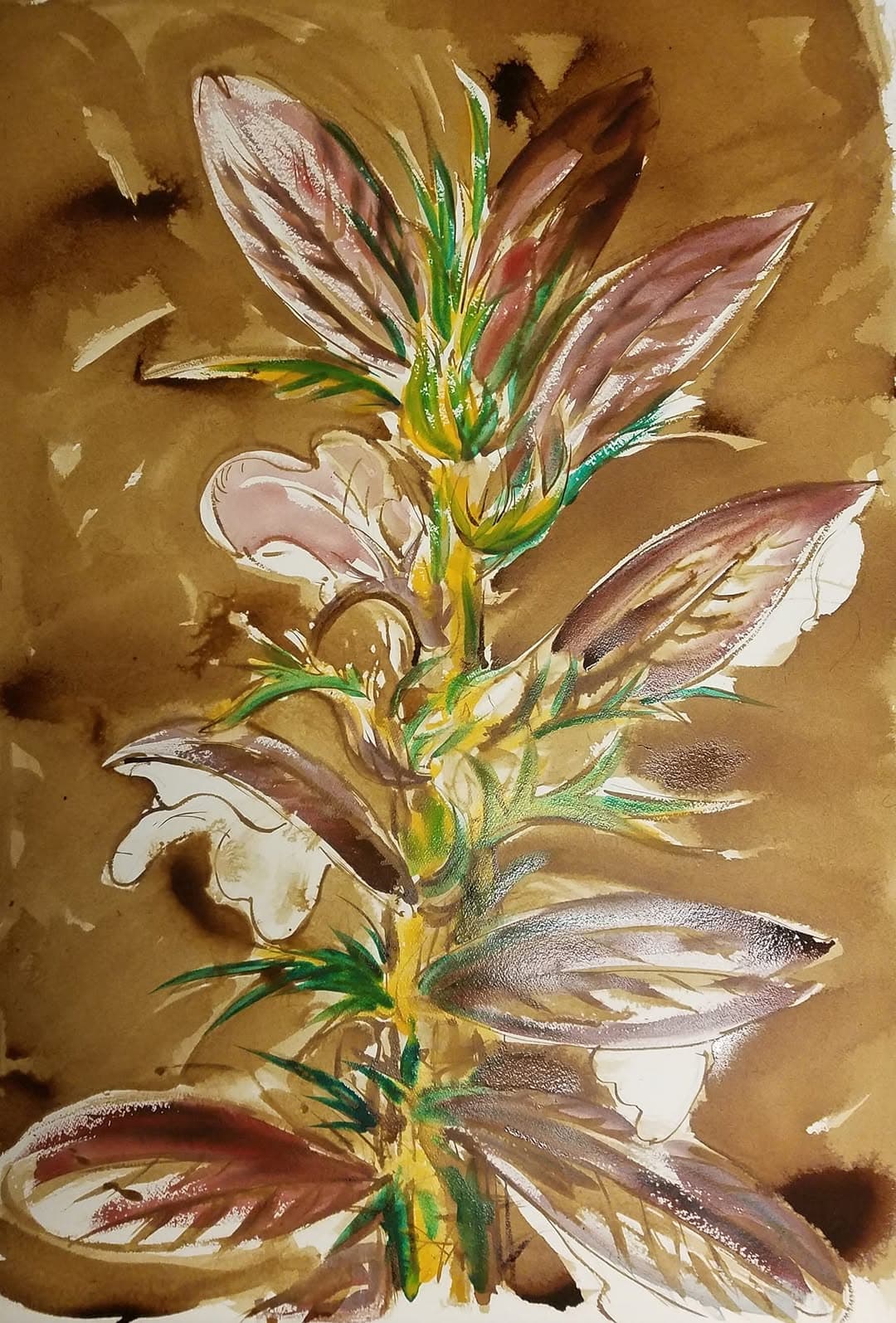 Flower painting by Dan Dutton (49)