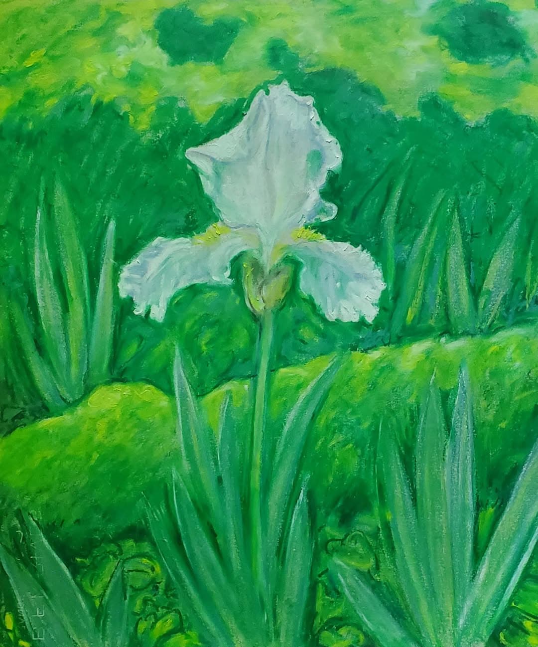 Flower painting by Dan Dutton (58)