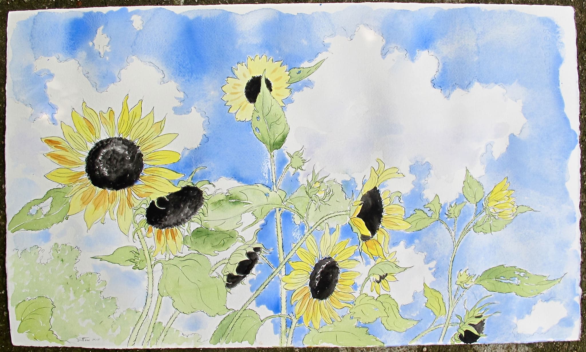 Flower painting by Dan Dutton (9)