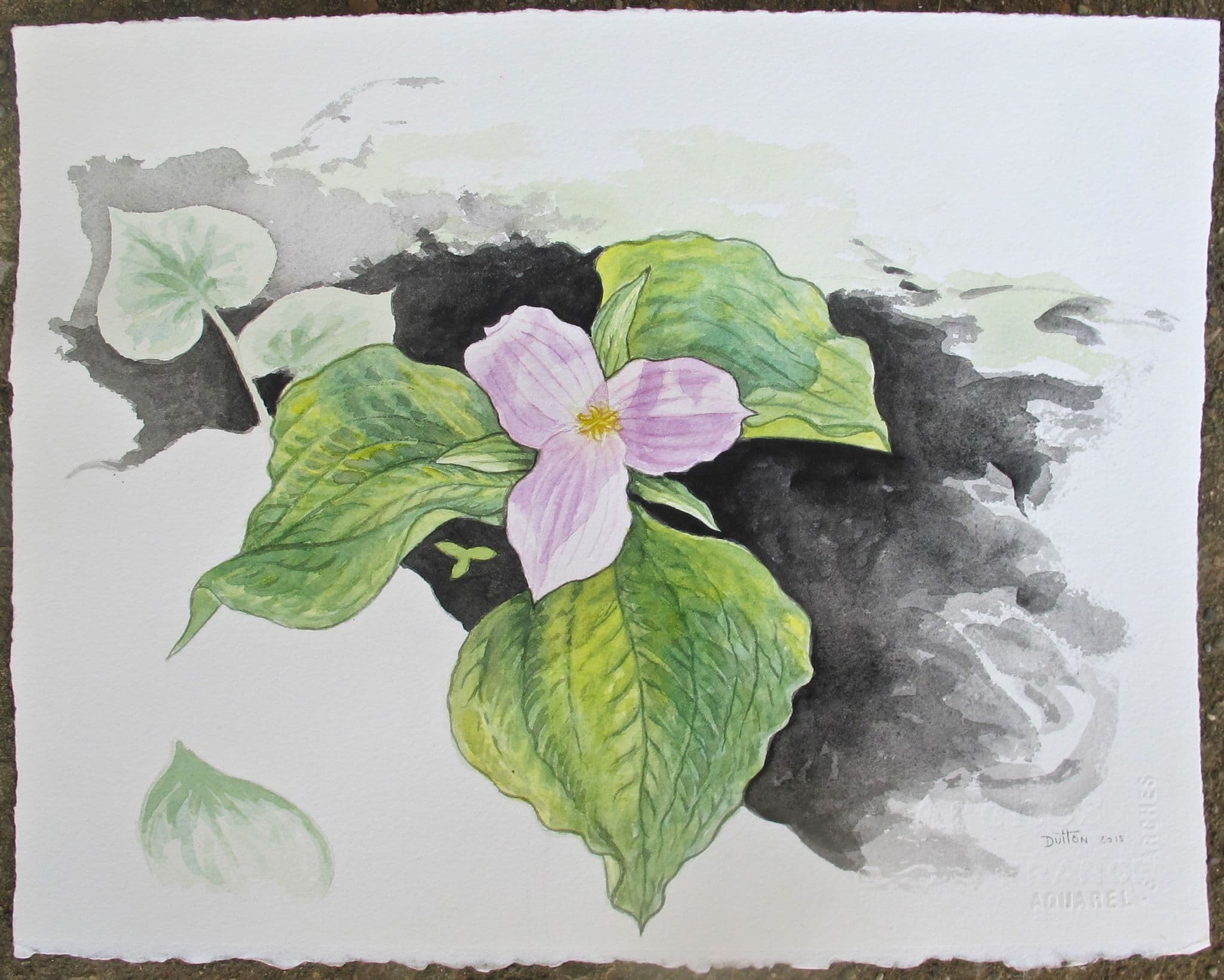 Flower painting by Dan Dutton (78)