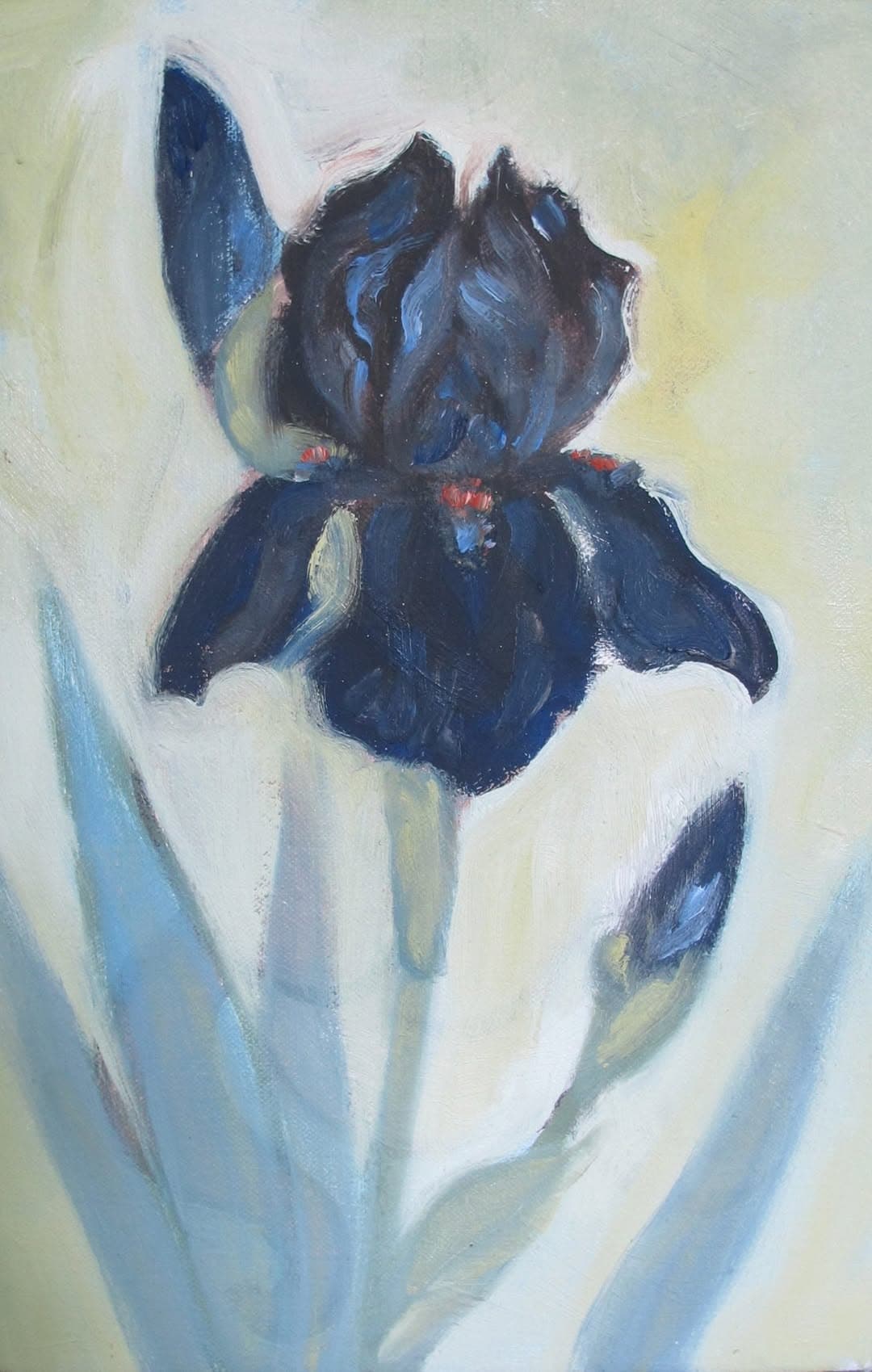 Flower painting by Dan Dutton (80)