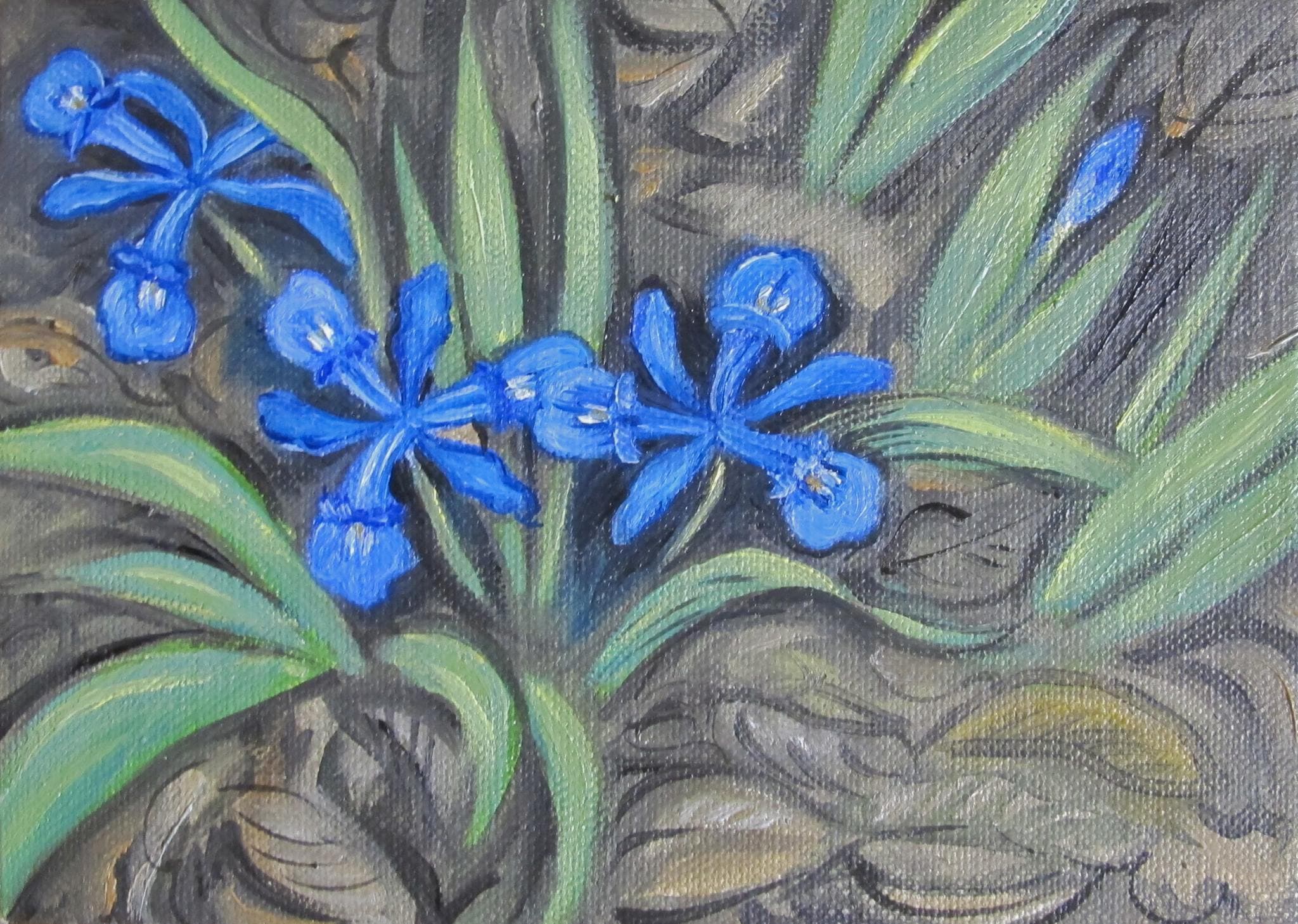 Flower painting by Dan Dutton (82)
